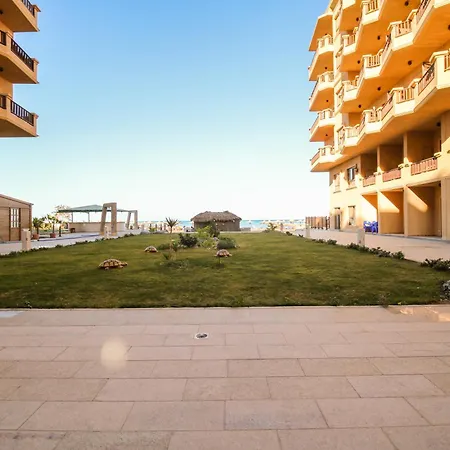 Seaview Turtles Appartement Hurghada Buitenkant foto