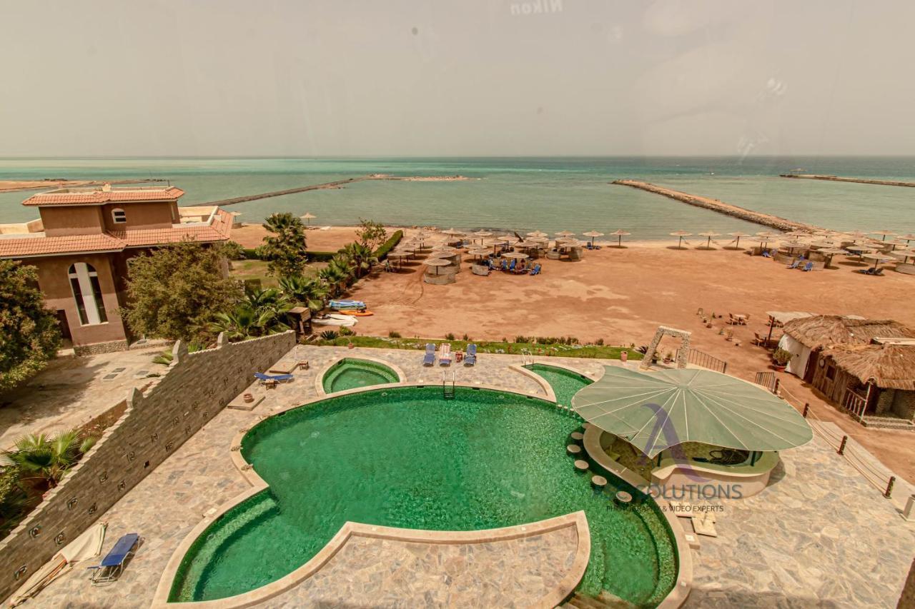 Seaview Turtles الغردقة