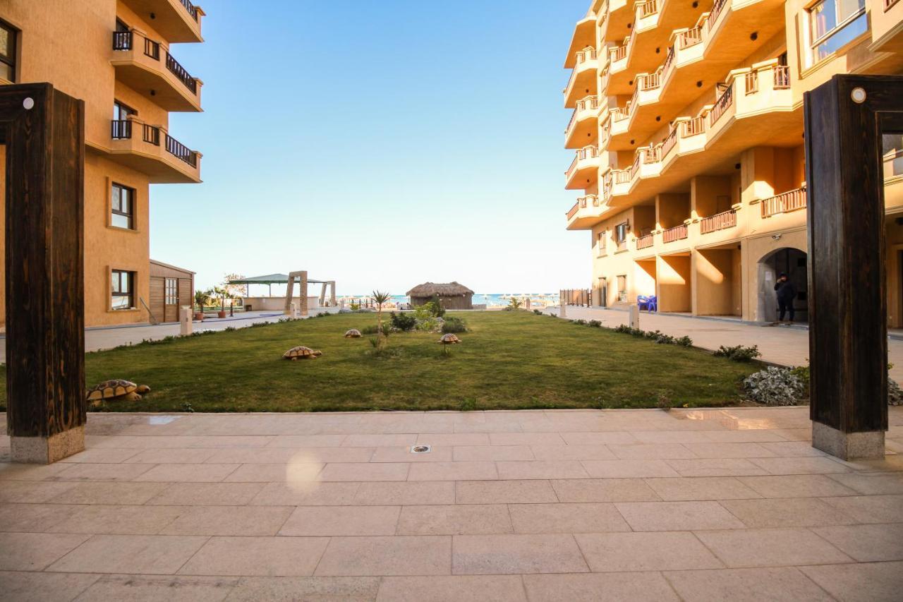 Seaview Turtles Appartement *